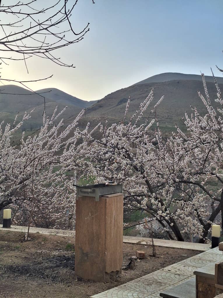 گالری تصاویر